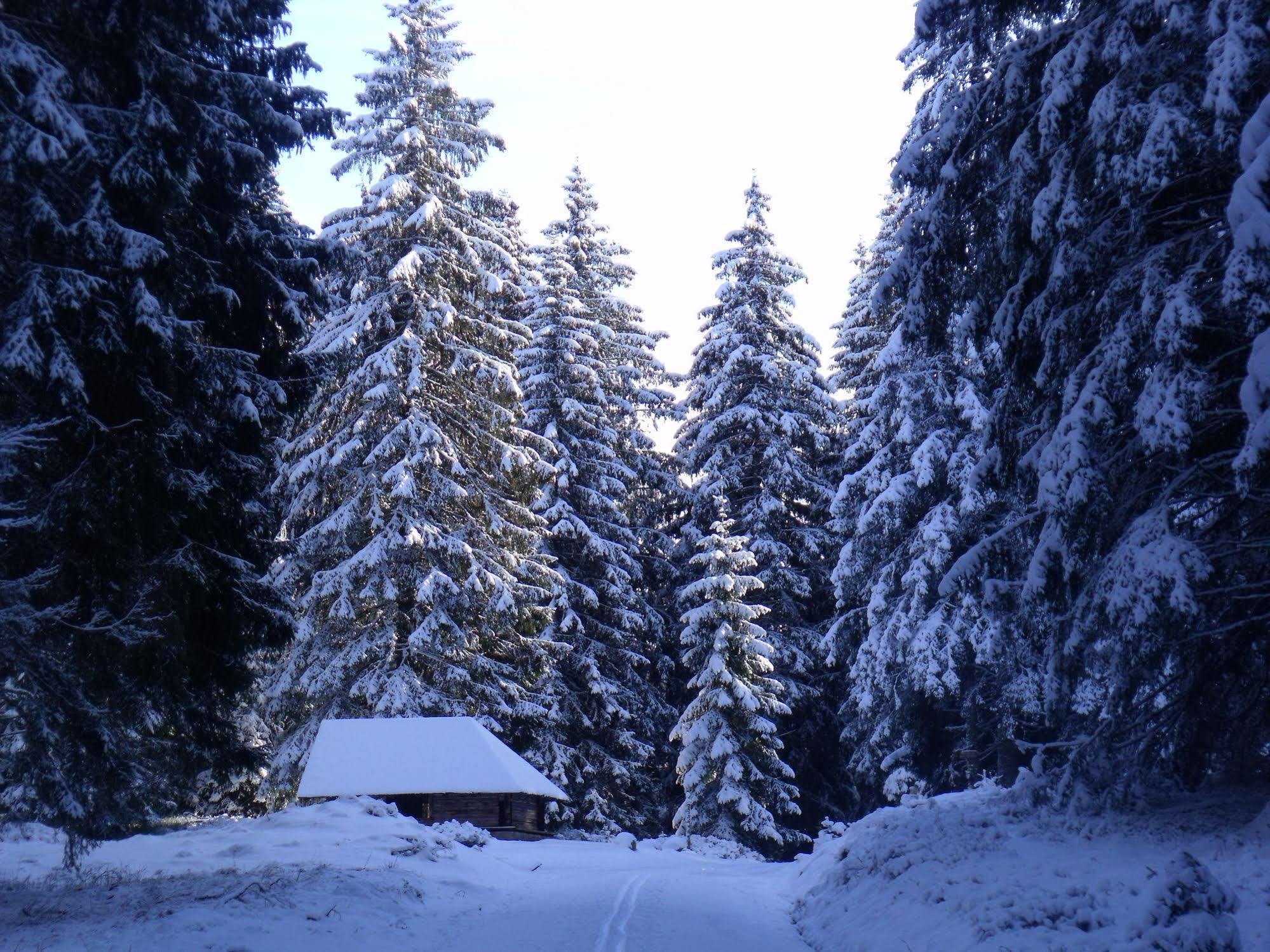 Hotel Grossbach Menzenschwand Exterior photo